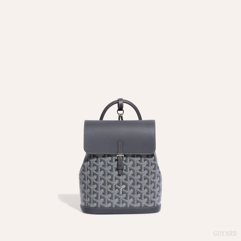 Goyard Alpin Mini Backpack Grå | RAIB6821