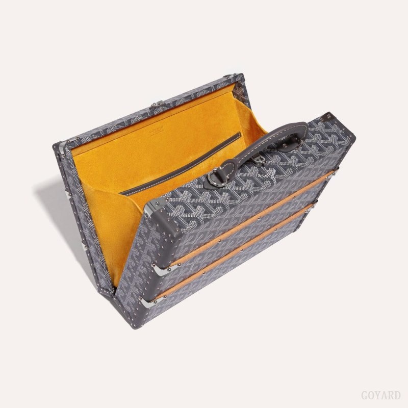 Goyard PALACE MM TRUNK BAG Grå | VWNW0922