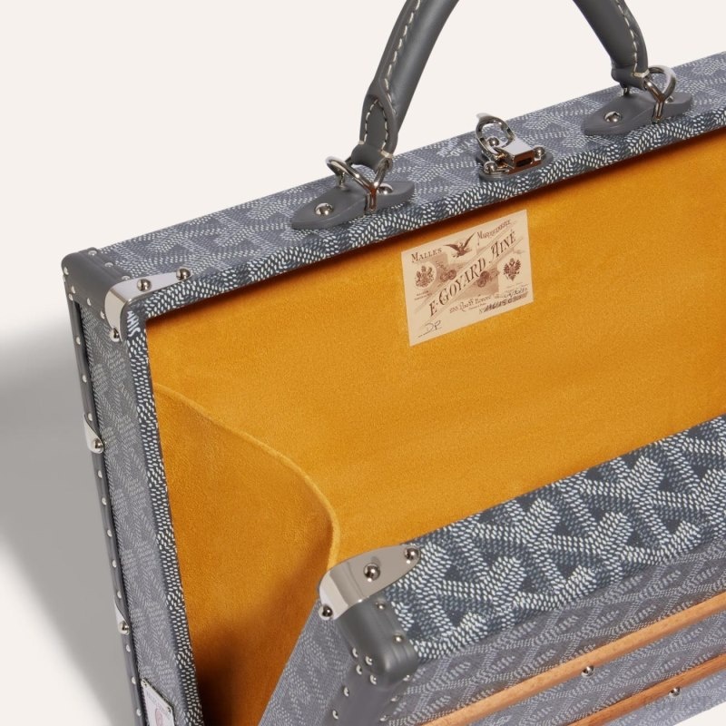 Goyard PALACE MM TRUNK BAG Grå | VWNW0922