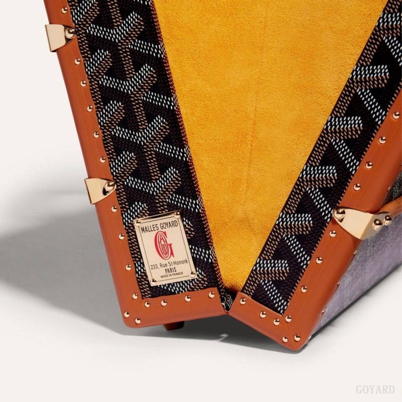 Goyard PALACE MM TRUNK BAG Svarte Brune | MXFT6064